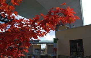 TRATTORIA Montagne Cucina