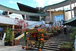 TRATTORIA Montagne Cucina