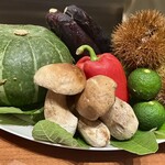 スガラボヴィー - 