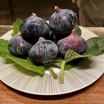 スガラボヴィー - 