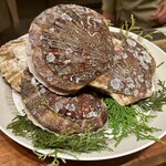 スガラボヴィー - 