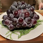 スガラボヴィー - 