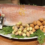 スガラボヴィー - 