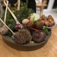アグリスケープ - 