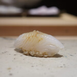 菊鮨 - 泥障烏賊