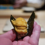 菊鮨 - バフン雲丹