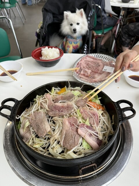 ジンギスカンガーデンズ - 富津市その他/ジンギスカン | 食べログ