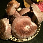 湯あそびの宿　下呂観光ホテル - 原木椎茸