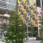 エクセルシオール カフェ バリスタ - 窓からヤマハが見えます