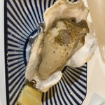 路地裏のサニー Noraneko St. - 