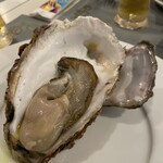 TRATTORIA Fragranza - 