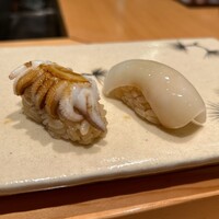 冨すし - 新イカ2種(スミイカの子供)