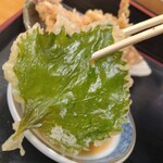 そば処　つる福 - 大葉天