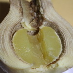 亀屋菓子舗 - 