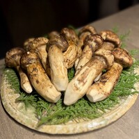 USHIGORO S. GINZA - 
