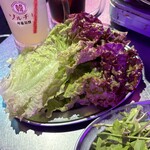 ネオン空間 韓国料理 チーズ 食べ放題 ソルチカ - 