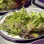 ネオン空間 韓国料理 チーズ 食べ放題 ソルチカ - 