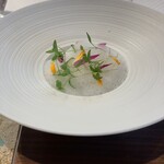 ジョンティ アッシュ - 