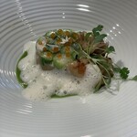 ジョンティ アッシュ - 