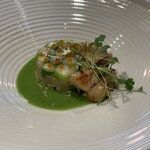 ジョンティ アッシュ - 