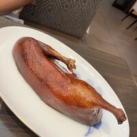 家寶 跳龍門 - 