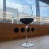 Austrian Airlines Business Lounge Non-Schengen - 