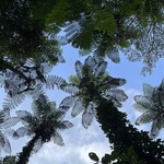 日本酒と肴 みや川 - 金作原原生林のお散歩後に