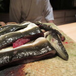 成生 - 海鰻のさばきたて、うねうね動き中、頭が活きてる…!!!