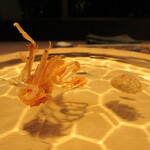 成生 - 車海老の脚、味噌