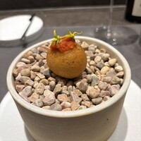 CIRPAS - 