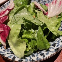 よろにく - 鮮菜　本日のサラダ