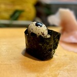 寿し辰 - K・U・T・G・A（殻ごと〜、うずらー、卵〜、軍艦〜、アゲイン）トランプの声で脳内再生してください、笑