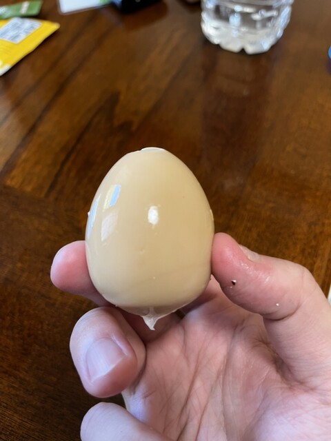 尾瀬御池ロッジ - 檜枝岐村その他（旅館・民宿）の写真