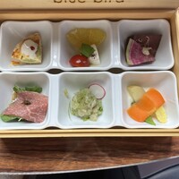 渋谷 Blue bird - 