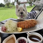 ファームリンク 金星屋 - 料理写真: