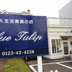 ブルー チューリップ - 外