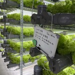 Salad bowl & cafe GREENJOY - 