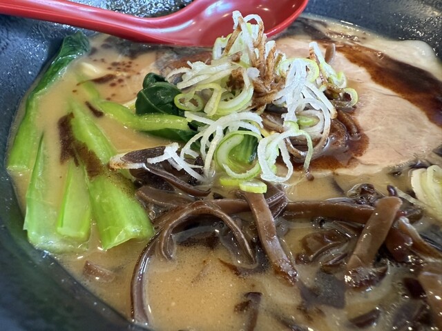 仙台とんこつラーメン 一番堂 松島店 - 愛宕（ラーメン）の写真