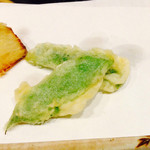 分田上 - モッロッコインゲン