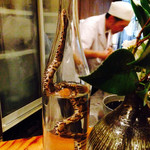 分田上 - 生きたマムシ