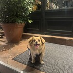 カフェ・ミケランジェロ - 