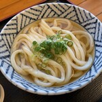 宮武うどん - だしかけうどん小(ひやひや)350円