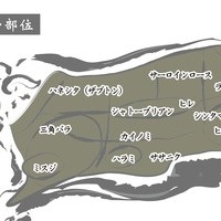 ◆一頭買いならでは！ 松阪苑希少部位ラインナップ!!