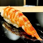 鮨しげひろ - 20250925車海老