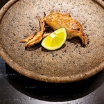 島津 - ノドグロと天然舞茸