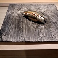 島津 - コハダ
