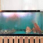 はまさき村 - 活いけす（1）