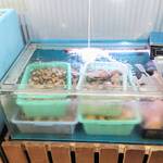 はまさき村 - 活いけす（2）