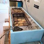 はまさき村 - 活いけす（4）