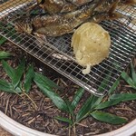 日本料理 木の花 - 